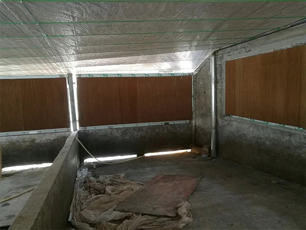 畜牧养殖场通风降温解决方案