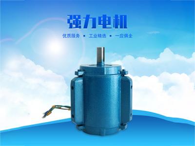 科瑞莱环?？盏?.1KW专用电机